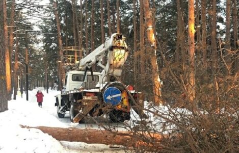 Жители Дзержинска сообщили о вырубке деревьев в парке «Утиное озеро» после благоустройства
