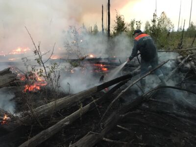 Нижегородская область вновь может пострадать от пожаров из-за Мордовского заповедника