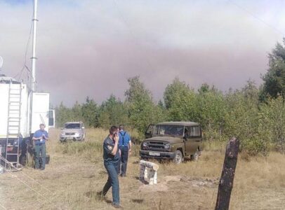 Природоохранная прокуратура требует возбудить дело из-за лесного пожара в Нижегородской области