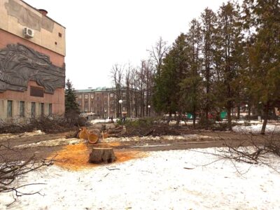 Жители Сормова пожаловались на массовую вырубку деревьев у «Дома пионеров»