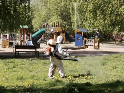 Парки и скверы обработают от клещей в Нижнем Новгороде