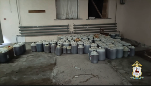 Полицейские накрыли огромную нарколабораторию в Лукоянове (видео)